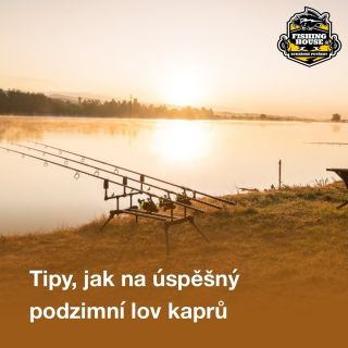 Podzimní kaprařina je tady. 🐟🍂 Chladnější voda, větší kapři a osvědčené tipy, jak být u vody úspěšný. 🎣 Odkaz na článek...